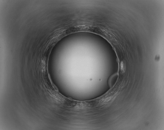 X0000091481203200708161412