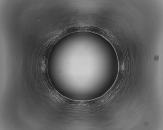 X0000091481204200708161412