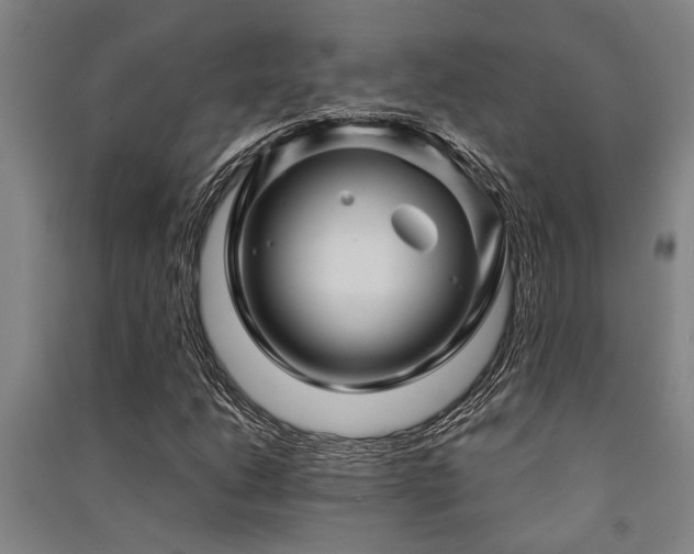 X0000091481206200708161412
