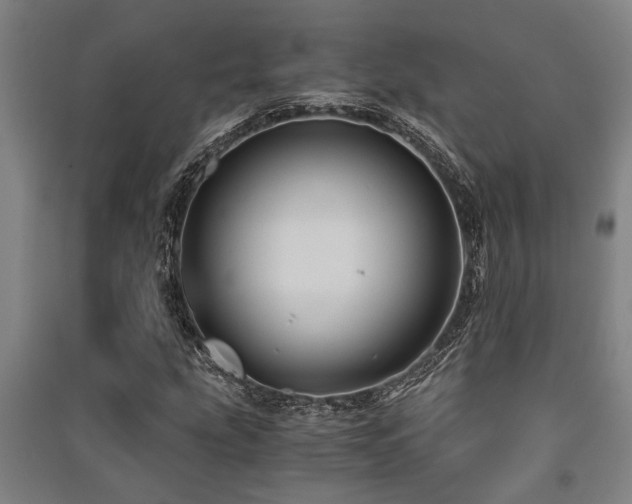 X0000091481207200708161412