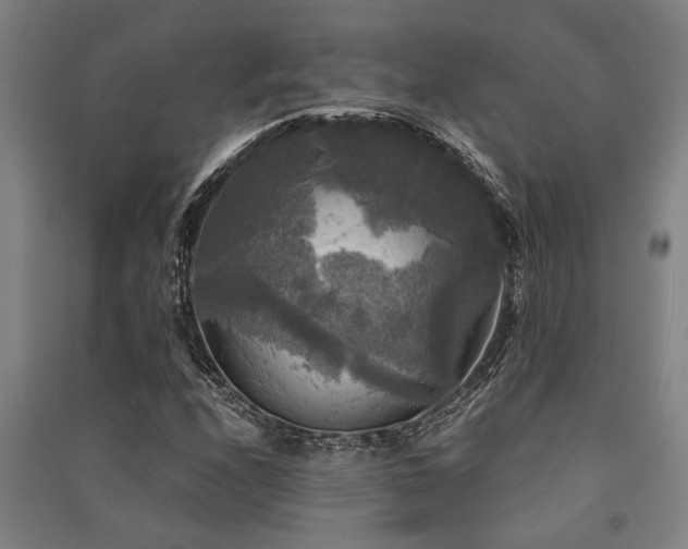 X0000091481208200708161412