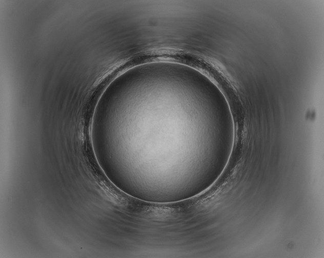X0000091481209200708161412