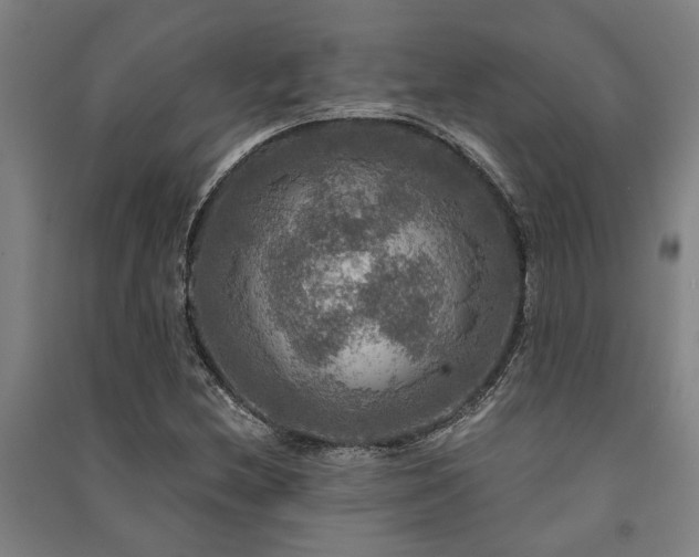 X0000091481212200708161412