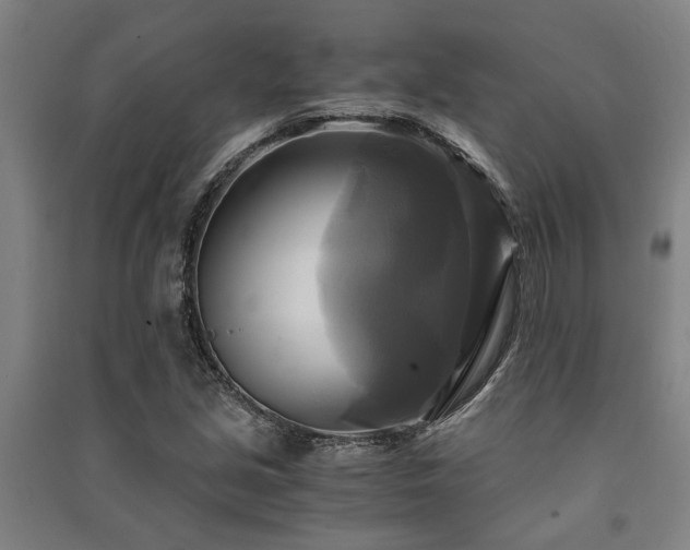 X0000091481213200708161412