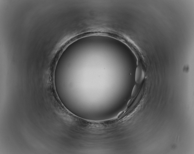 X0000091481215200708161412