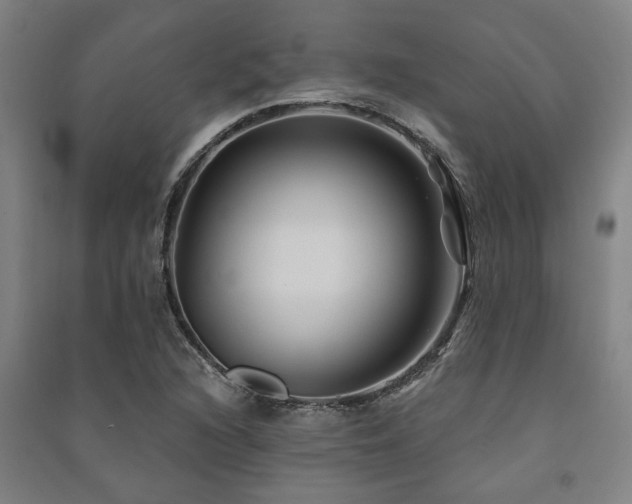 X0000091481216200708161412