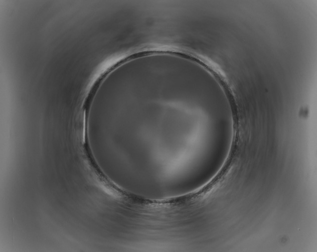 X0000091481223200708161412