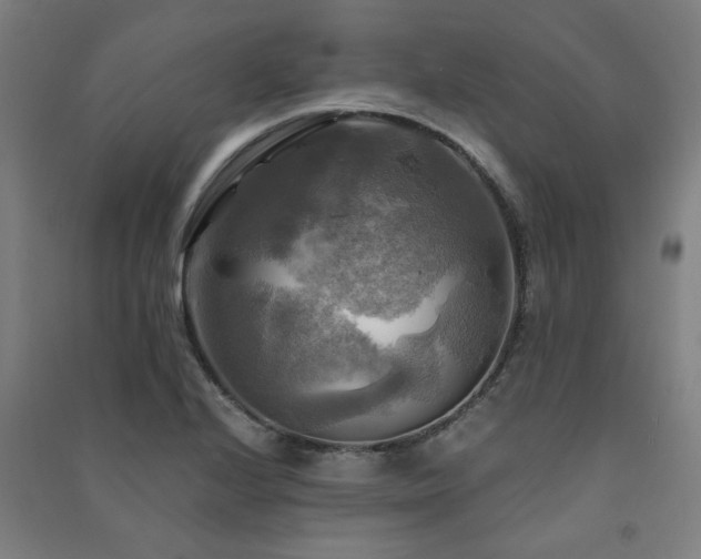 X0000091481224200708161412