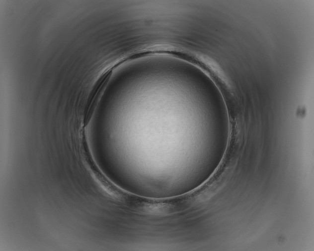 X0000091481225200708161412