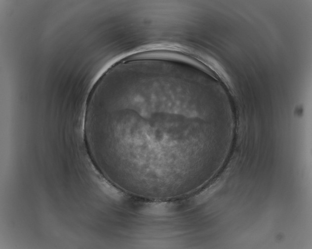X0000091481228200708161412