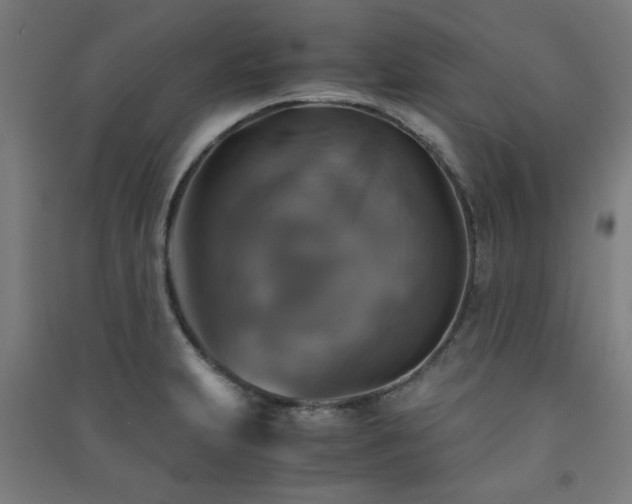 X0000091481231200708161412