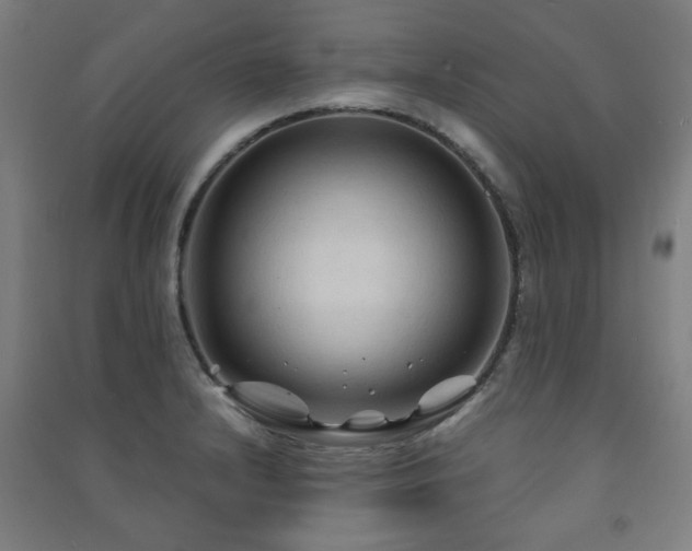 X0000091481232200708161412