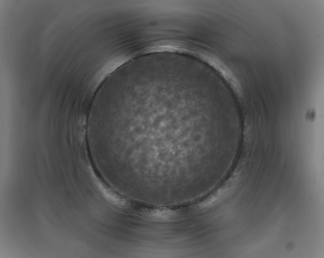 X0000091481233200708161412