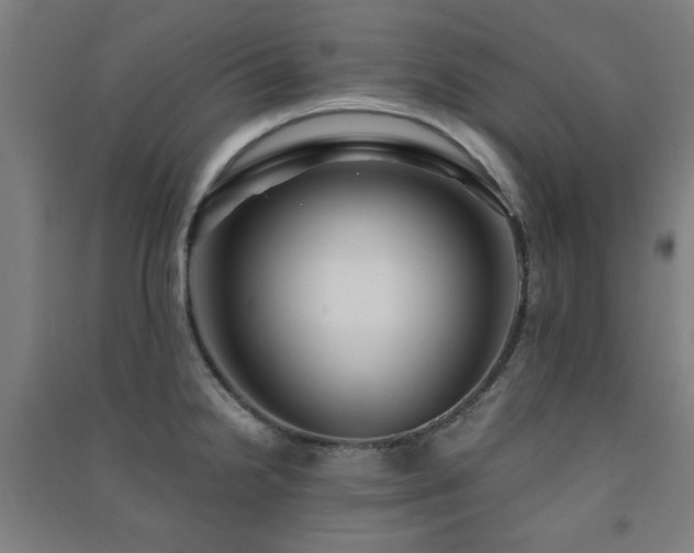X0000091481238200708161412
