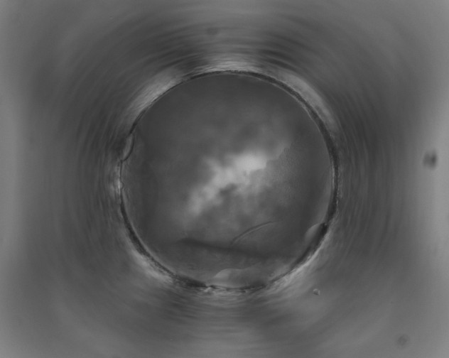 X0000091481241200708161412