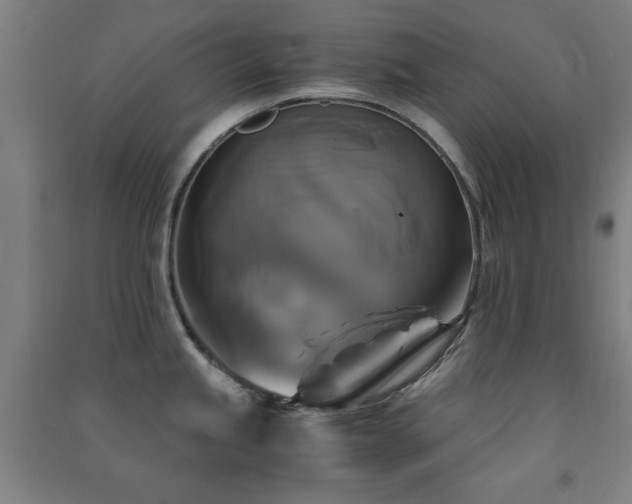 X0000091481245200708161412