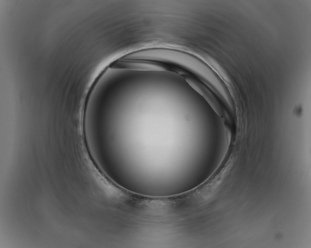 X0000091481246200708161412