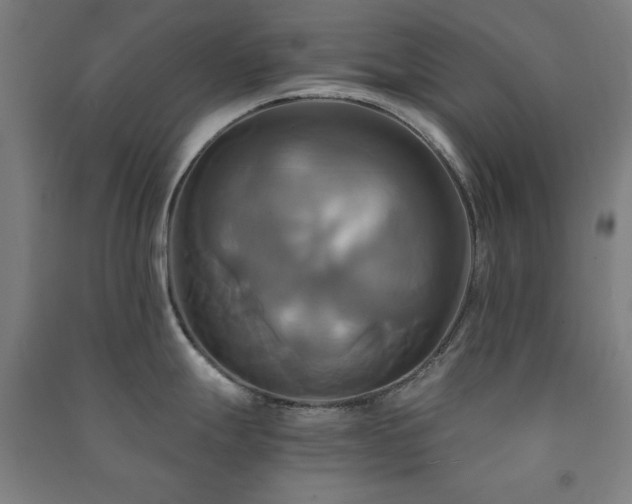 X0000091481247200708161412