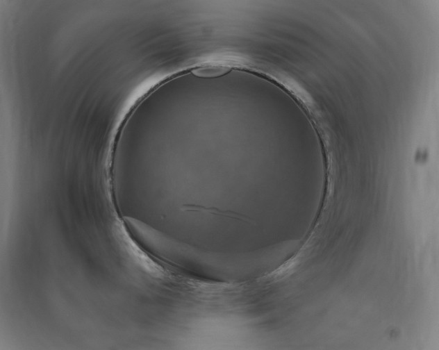 X0000091481248200708161412