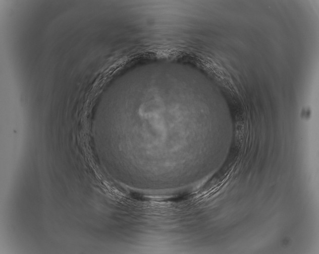 X0000091481249200708161412