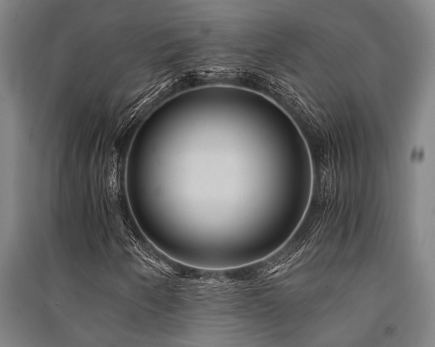 X0000091481250200708161412