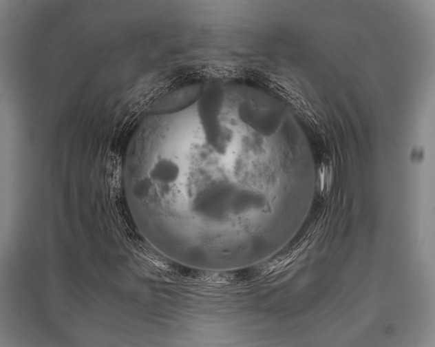 X0000091481251200708161412