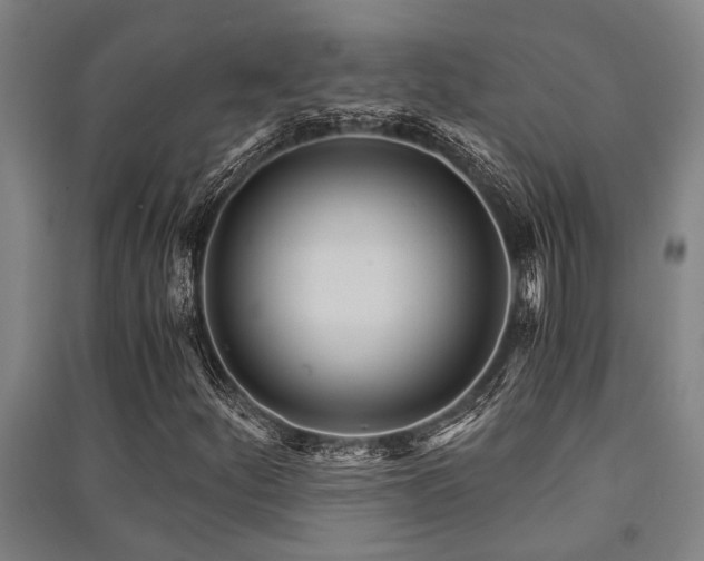 X0000091481252200708161412