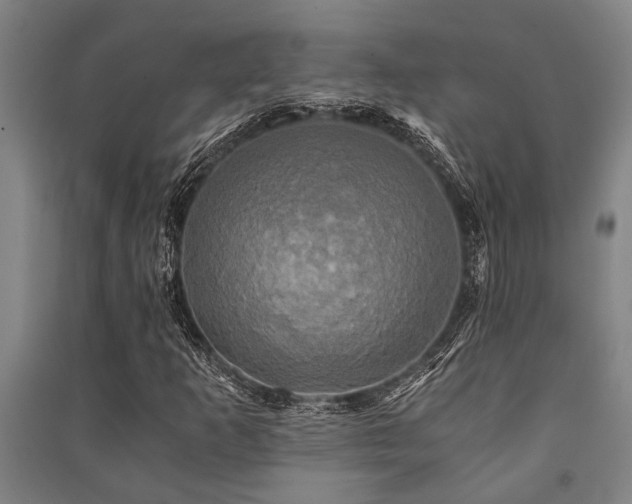 X0000091481253200708161412