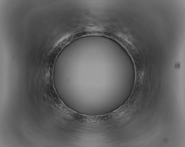 X0000091481254200708161412