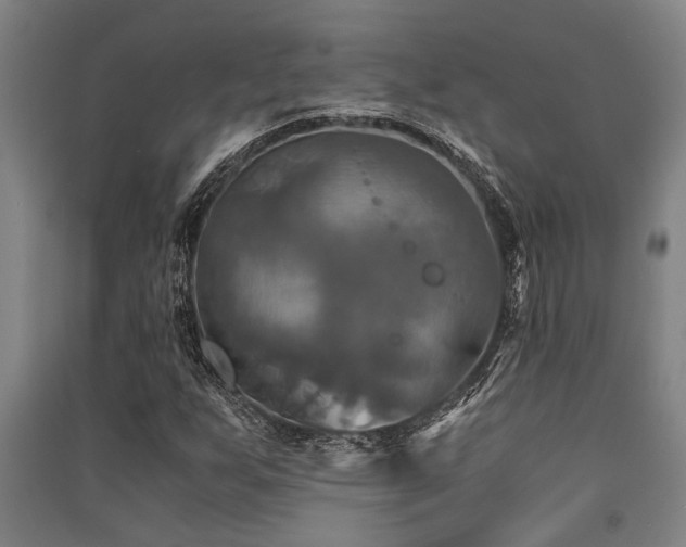 X0000091481255200708161412