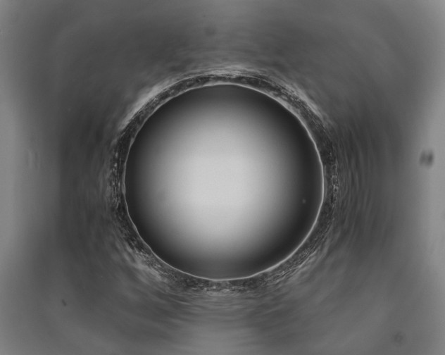 X0000091481256200708161412