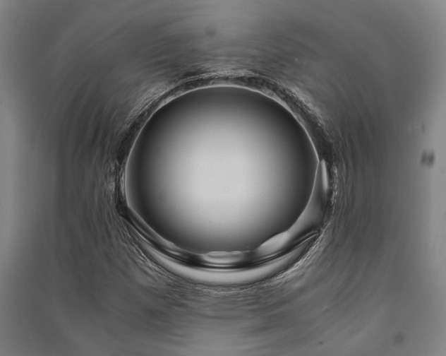 X0000091481257200708161412