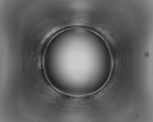 X0000091481262200708161412