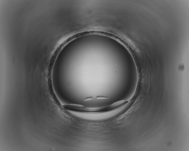 X0000091481264200708161412