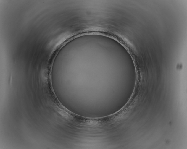 X0000091481266200708161412