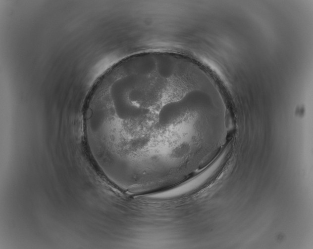 X0000091481267200708161412