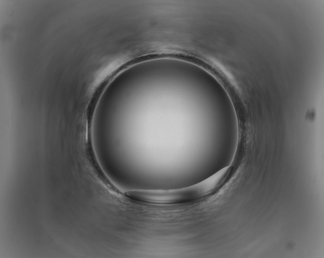 X0000091481269200708161411