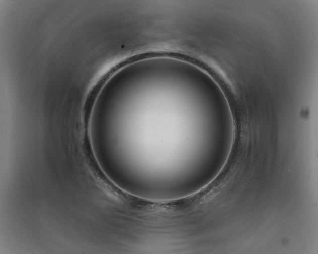 X0000091481270200708161411