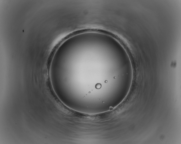 X0000091481271200708161411