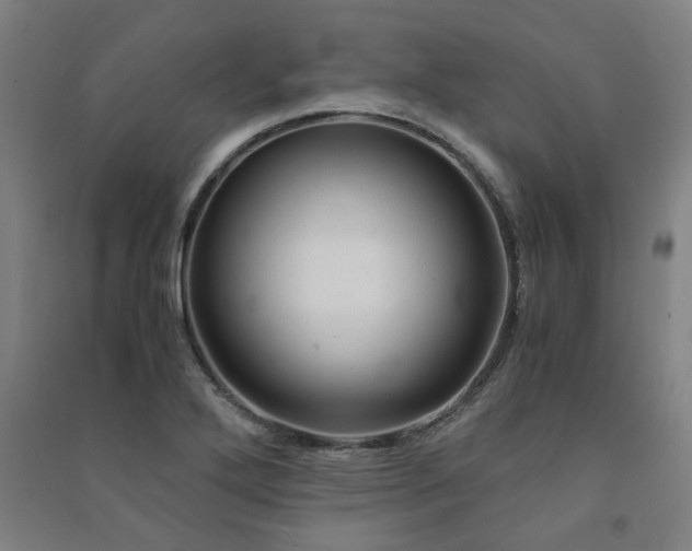 X0000091481272200708161411