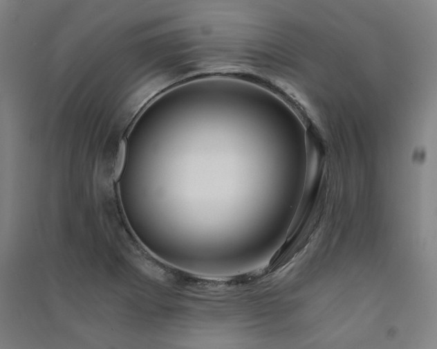 X0000091481273200708161411