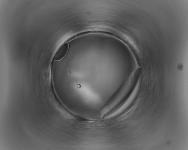 X0000091481275200708161411