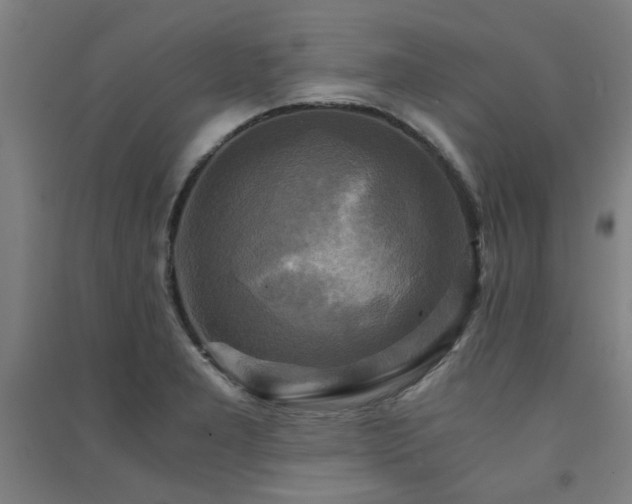 X0000091481277200708161411