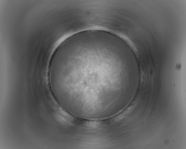X0000091481278200708161411
