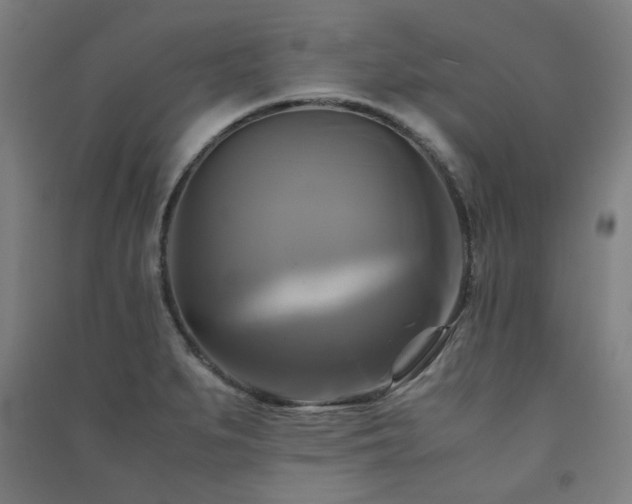 X0000091481279200708161411