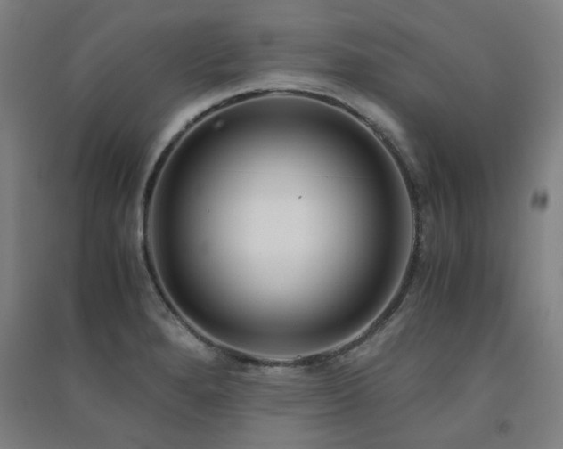 X0000091481280200708161411