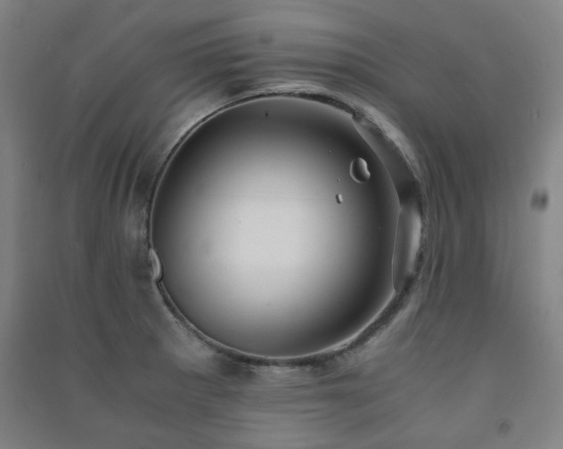 X0000091481281200708161411