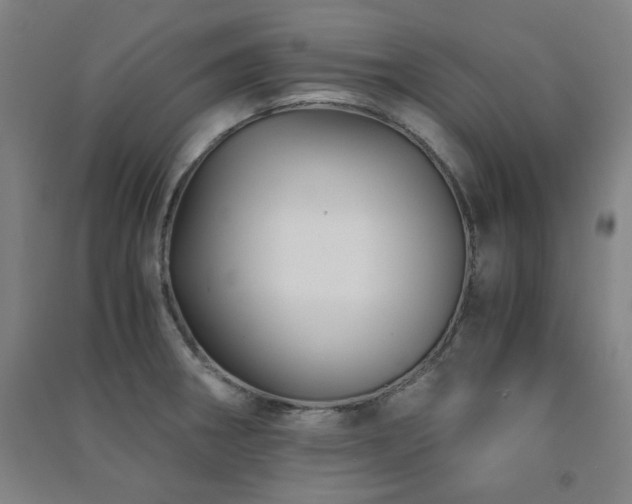 X0000091481282200708161411