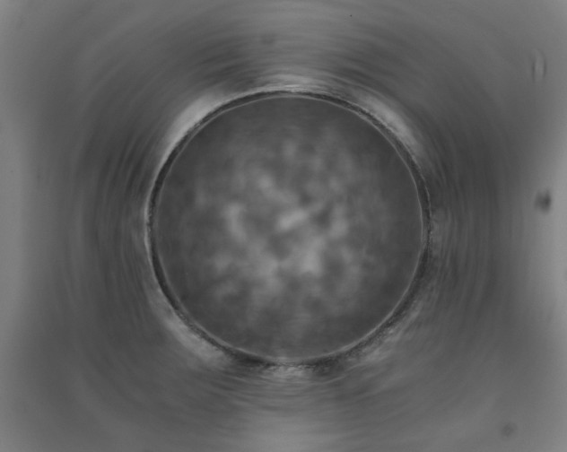 X0000091481283200708161411