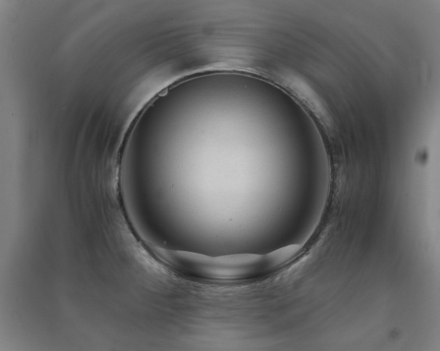 X0000091481284200708161411